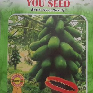 YouSeed - Violet