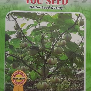 YouSeed - Terong Apel