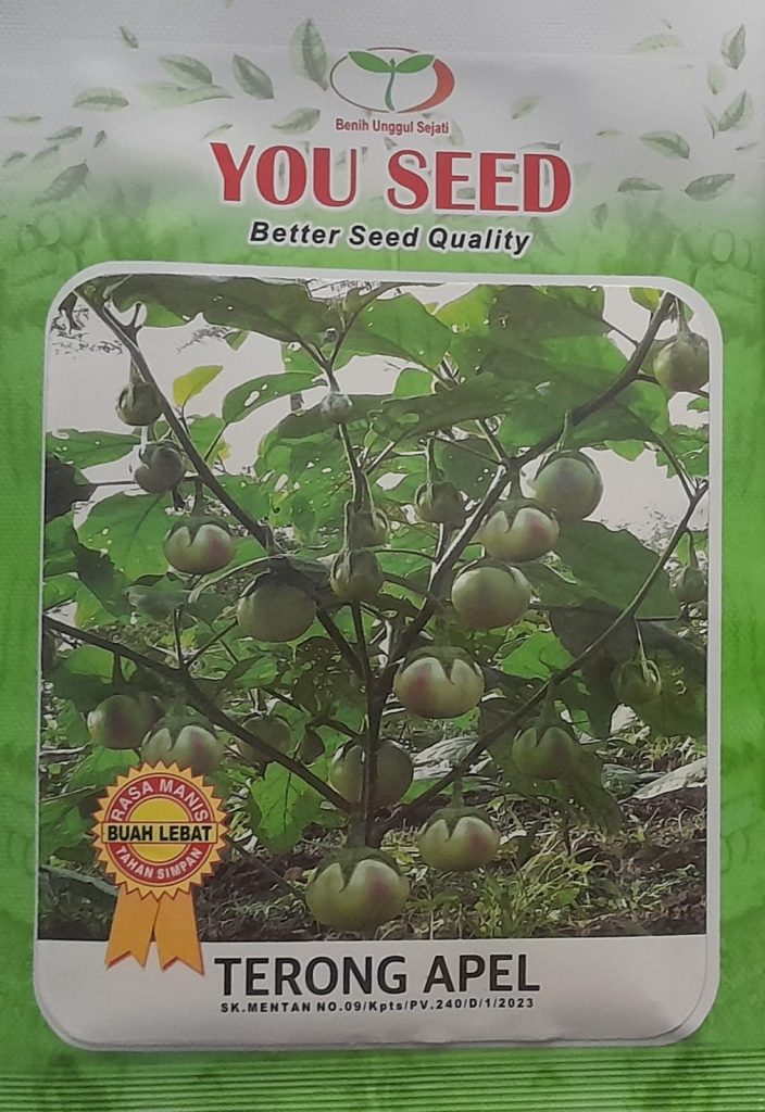 YouSeed - Terong Apel
